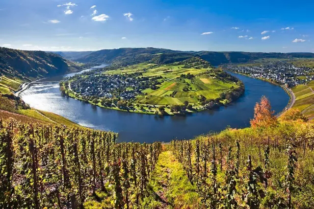 全球升溫，或將影響葡萄酒口感