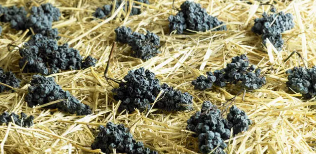 葡萄酒糖分越高，酒精度就越低？